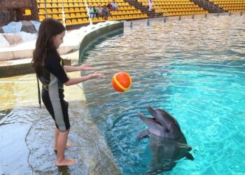 جاهای دیدنی کیش برای کودکان