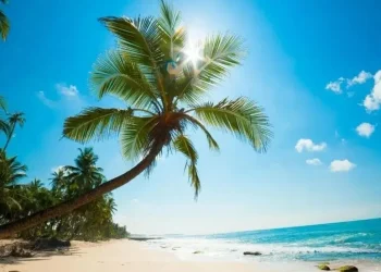 جاهای دیدنی کیش در تابستان