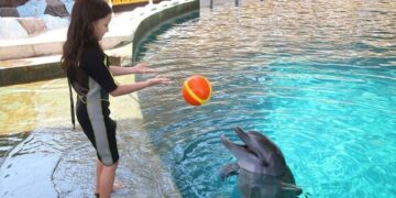 جاهای دیدنی کیش برای کودکان