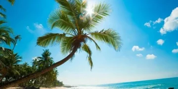 جاهای دیدنی کیش در تابستان