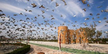 عکس جاهای دیدنی کیش