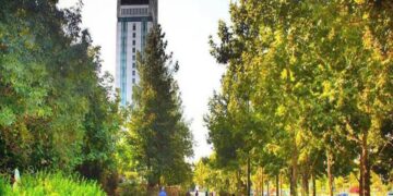 مهم ترین خیابان های شیراز