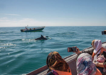 بهترین زمان سفر به قشم