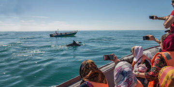 بهترین زمان سفر به قشم